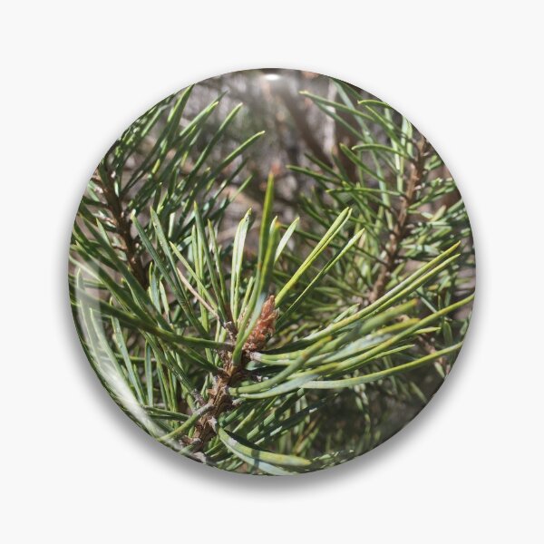 Item preview, Pine Needle, Evergreen designed and sold by Fhfarms.