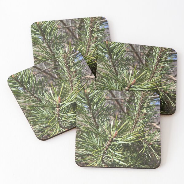 Item preview, Pine Needle, Evergreen designed and sold by Fhfarms.