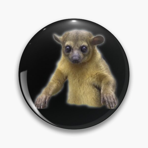Item preview, Kinkajou designed and sold by myuniquepet.