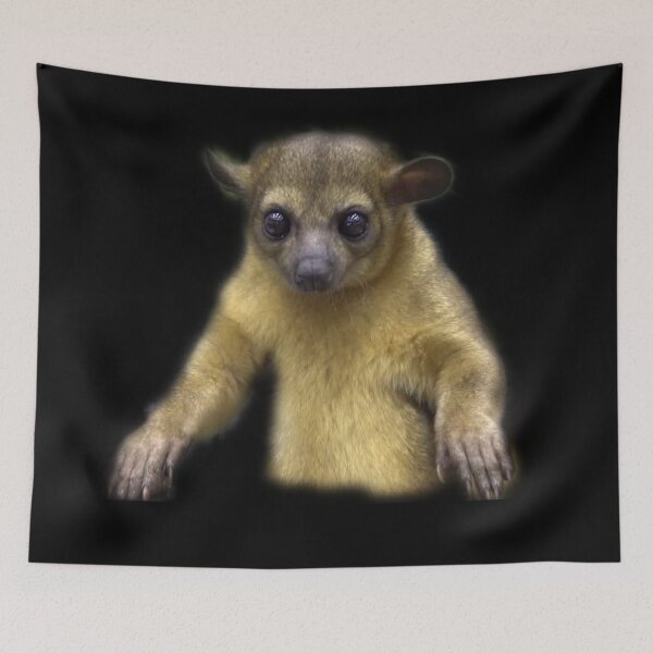 Item preview, Kinkajou designed and sold by myuniquepet.