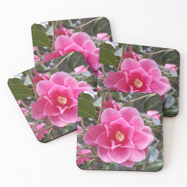 Item preview, Camellia in the Park designed and sold by usernamenaijan.