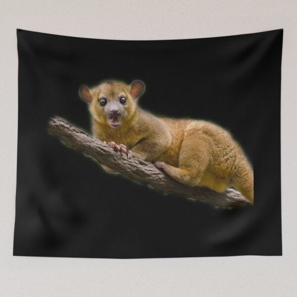 Item preview, Kinkajou designed and sold by myuniquepet.