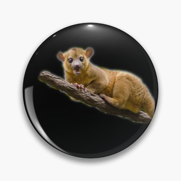 Item preview, Kinkajou designed and sold by myuniquepet.