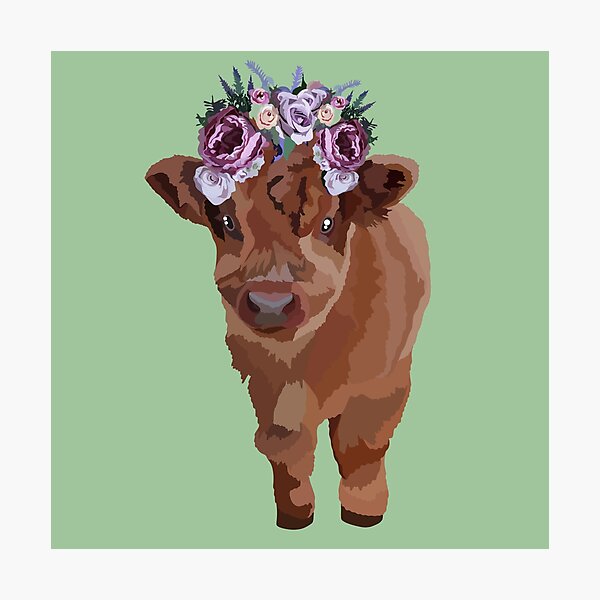 B is for Baby Highland Cow Photographic Print