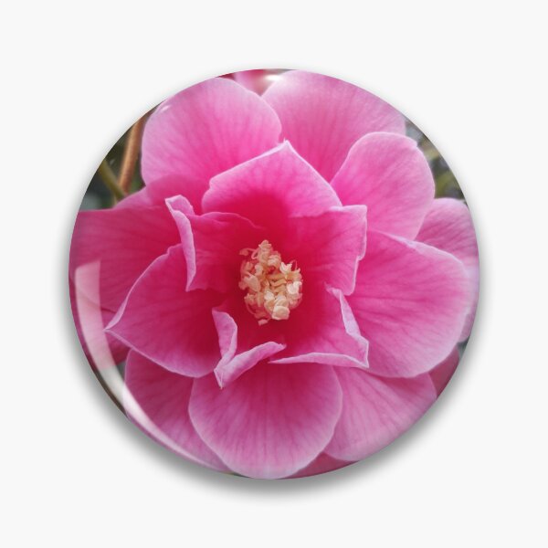 Item preview, Camellia in the Park designed and sold by usernamenaijan.