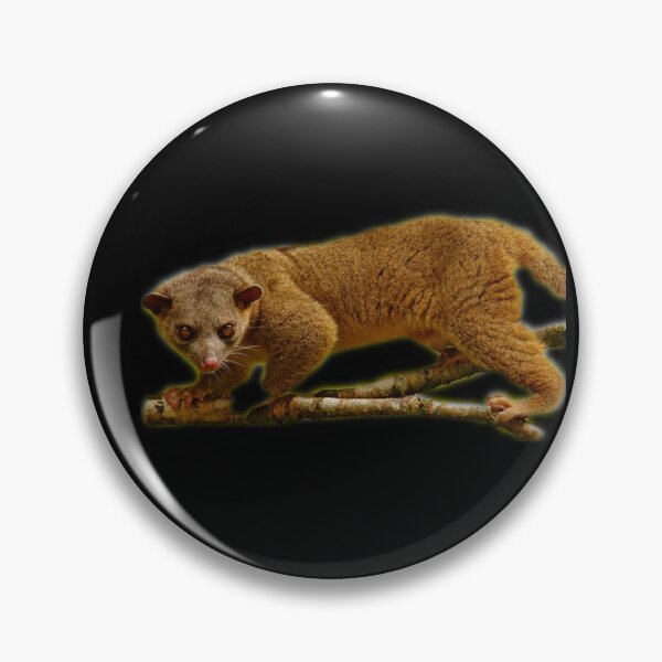 Item preview, Kinkajou designed and sold by myuniquepet.