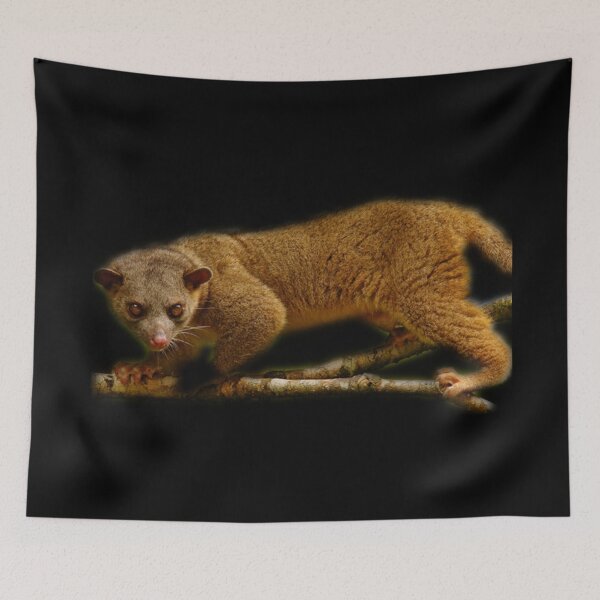 Item preview, Kinkajou designed and sold by myuniquepet.