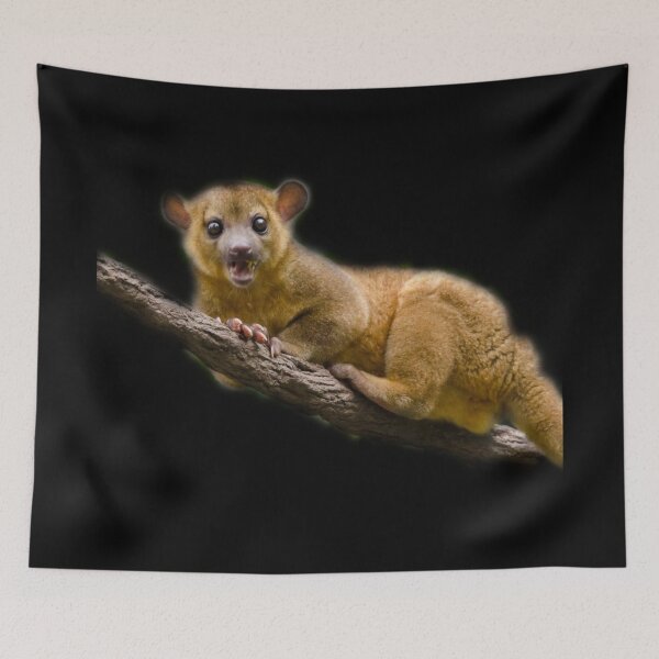 Item preview, Angry Kinkajou designed and sold by myuniquepet.
