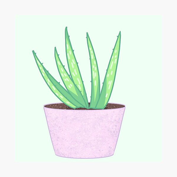 Artikelvorschau, Aloe entworfen und verkauft von AdeniumShop.