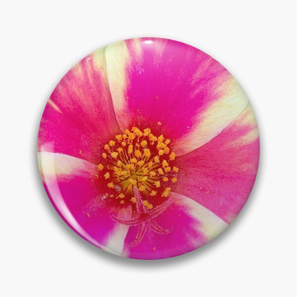 Item preview, Hot Pink and Yellow Flower in Close Up Detail designed and sold by DaisyGirlDesign.