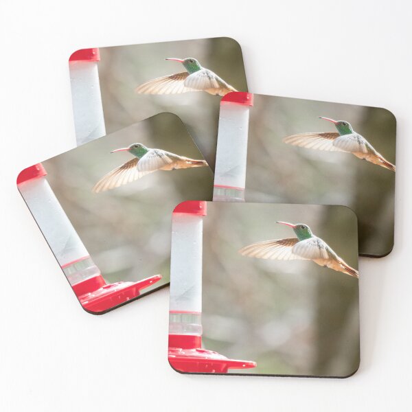 Item preview, Buff Bellied Hummingbird approaching feeder designed and sold by Raul Cano.