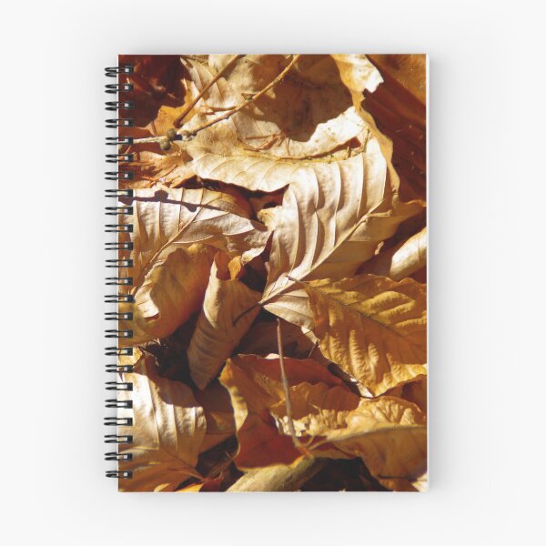 Item preview, Tangle of dry leaves of different tree species in the sunshine pattern designed and sold by Treemonk.