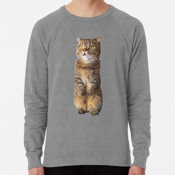 Kittisaurus shop sale