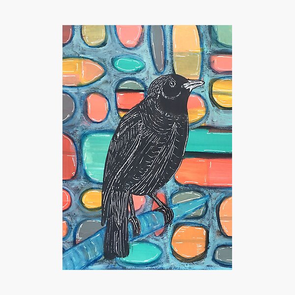 Blackbird Watcher Photographic Print