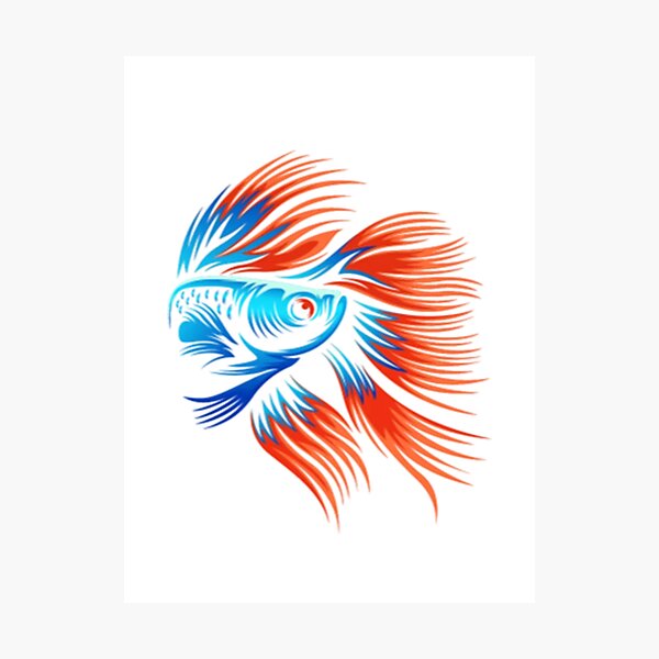 Fish Classic T-Shirt Photographic Print