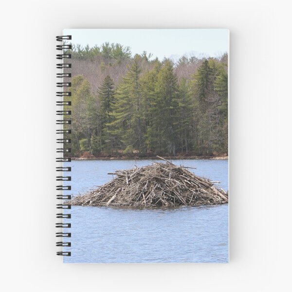 Item preview, A Beaver Lodge in the Wilderness designed and sold by Theophanes Avery.