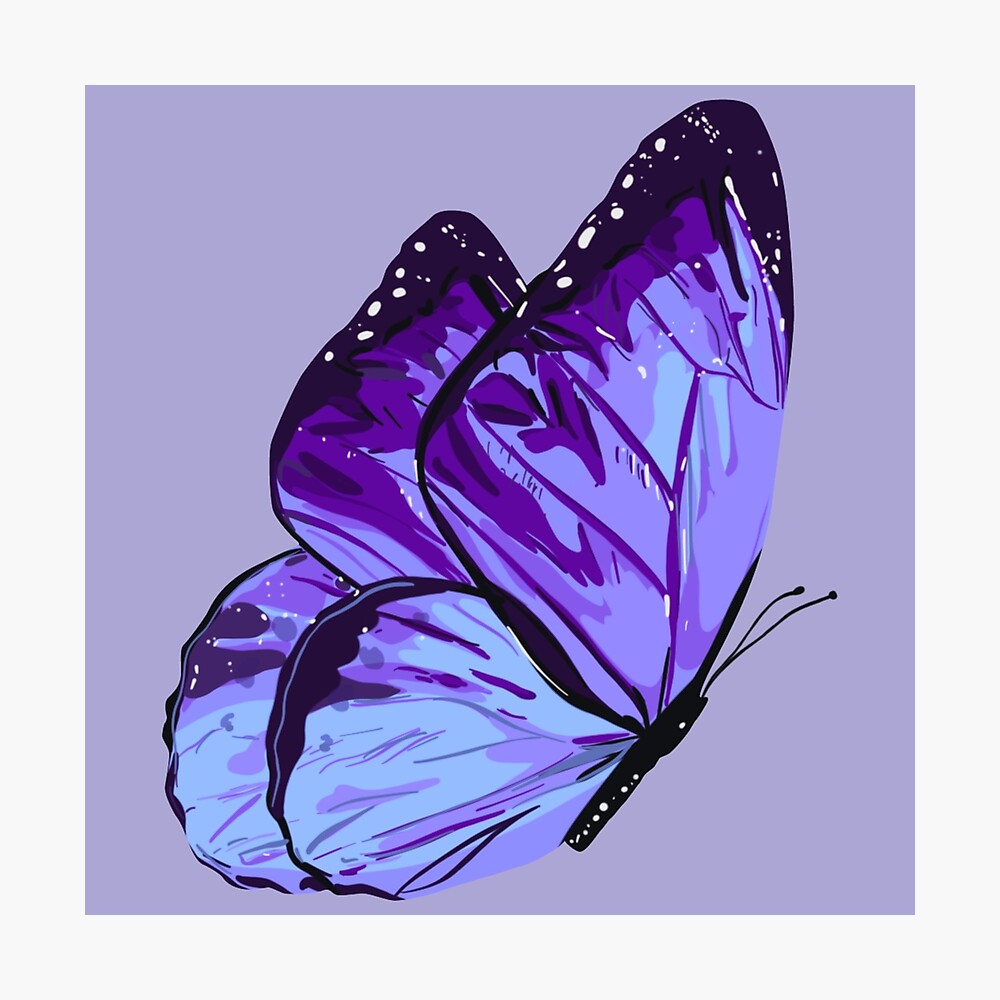 Purple Butterfly Light and Dark Purple