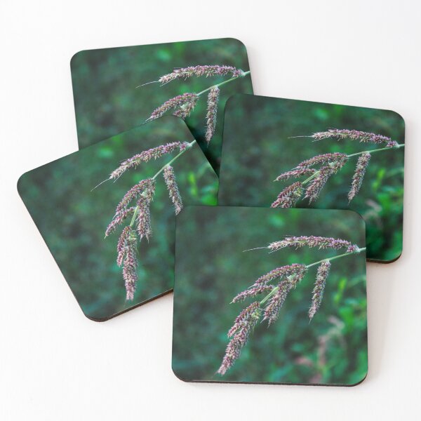 Item preview, Seedhead of Echinochloa crus-galli designed and sold by Mahirov Shop.