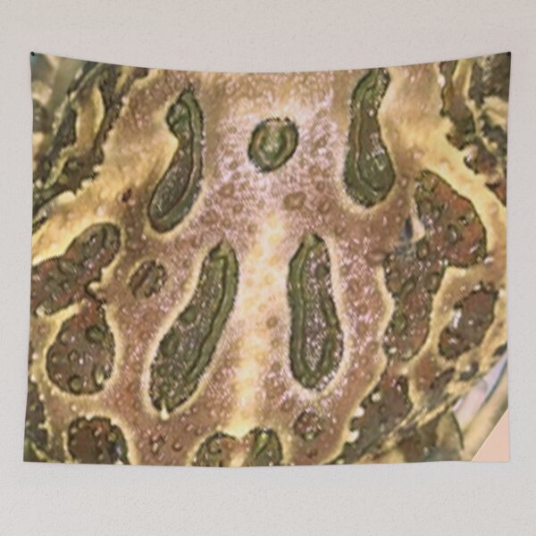 Item preview, Pacman Frog Textured Skin Modern Aesthetic  designed and sold by kestrada2906.