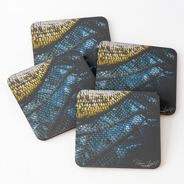 Item preview, Carp in the Middle With You designed and sold by Rebecca Woods.