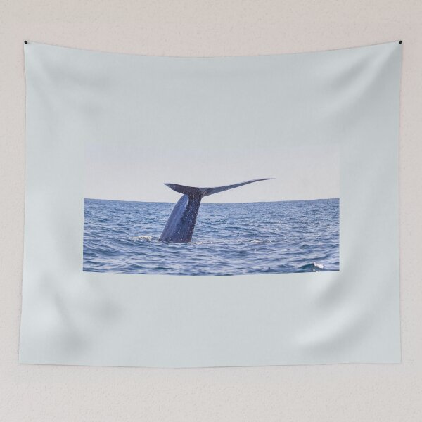 Item preview, Fluke of a Blue whale diving into the deep Atlantic, at Azores islands. designed and sold by AylaHarbich.