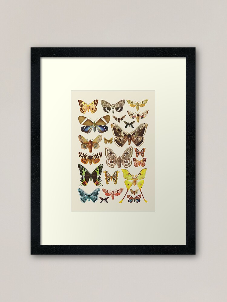 Alternate view of Collection Framed Art Print