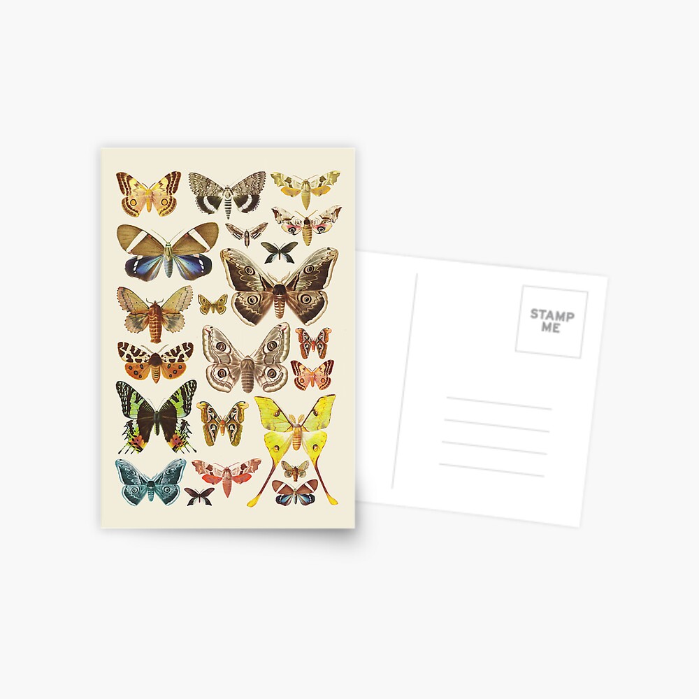 Collection Postcard