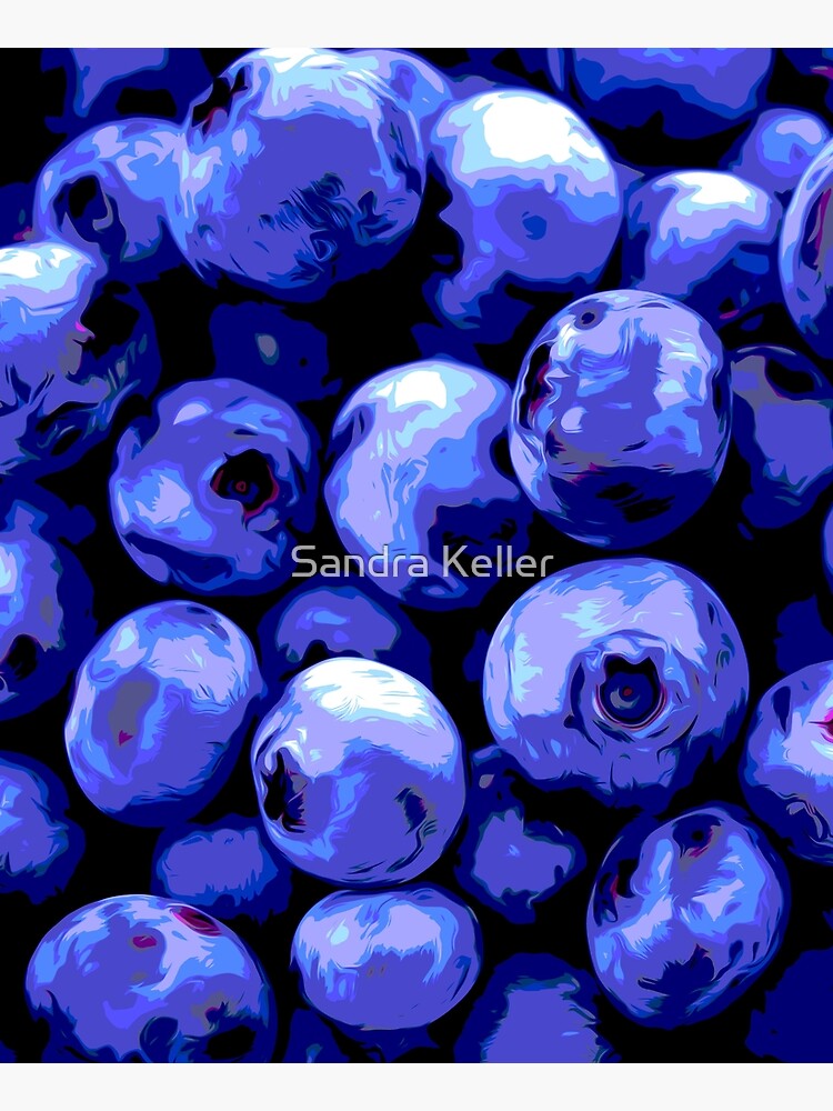 Blueberries by skc-images