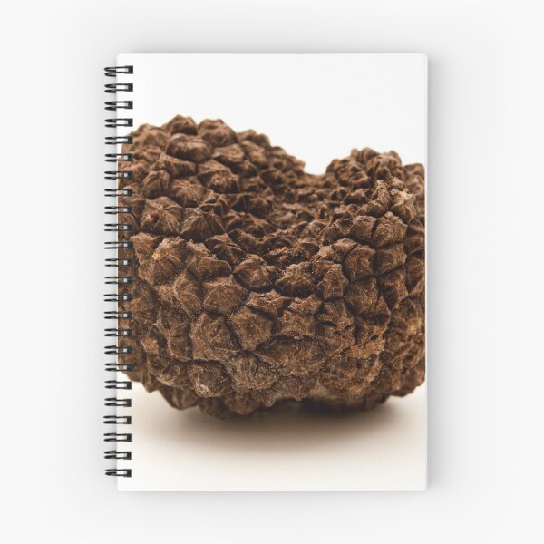 Item preview, Summer truffle designed and sold by troianifabrizio.