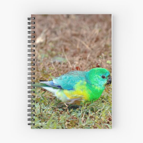 Item preview, Red Rumped Parrot designed and sold by Nicholas Blackwell.
