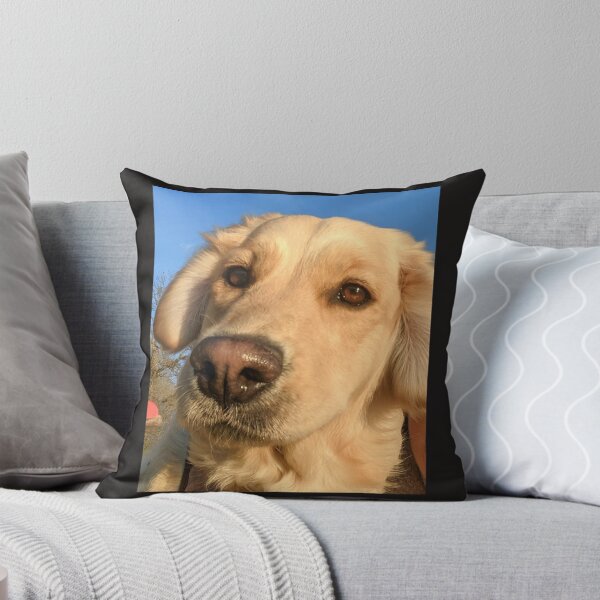 Artikelvorschau, Golden Retriever entworfen und verkauft von Fluffycat2020.