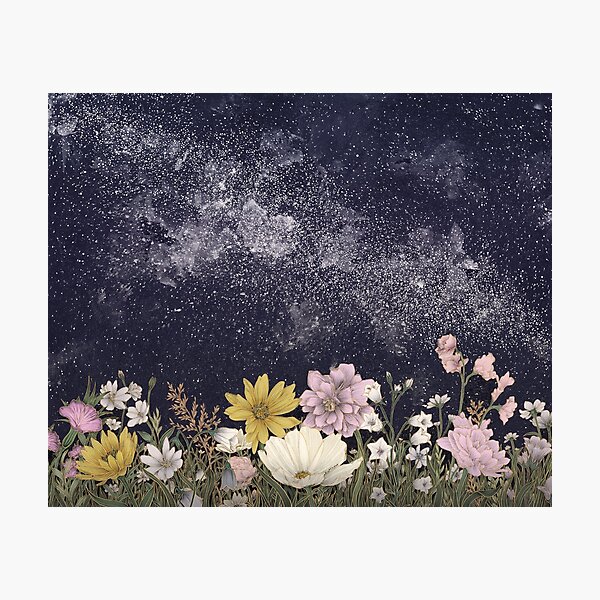 Galaxy in Bloom Colour Version Photographic Print