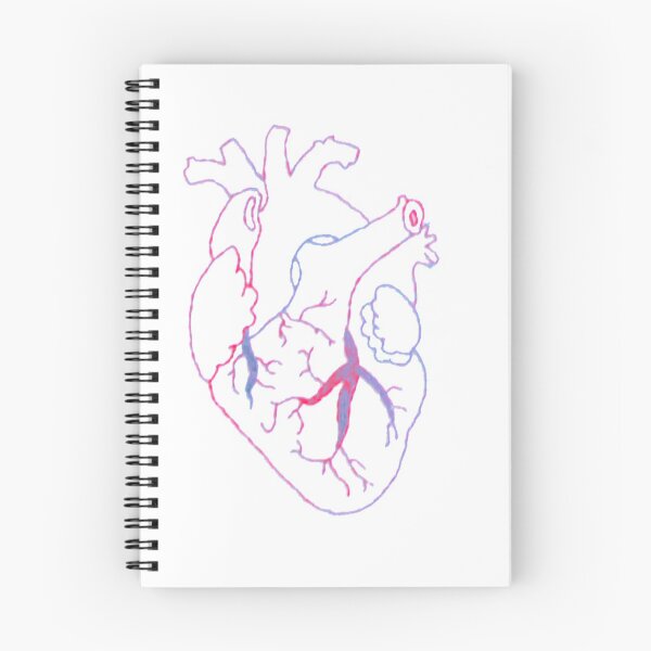 Item preview, Heart-anatomy designed and sold by Sarahgranchelli.