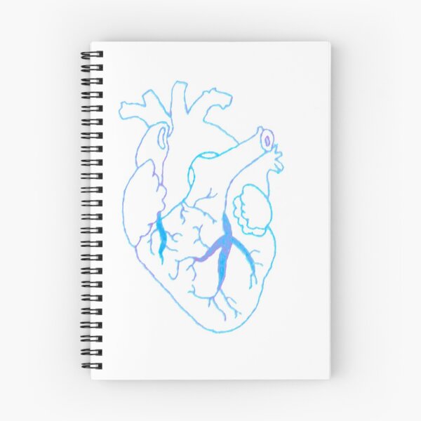 Item preview, Heart-anatomy designed and sold by Sarahgranchelli.