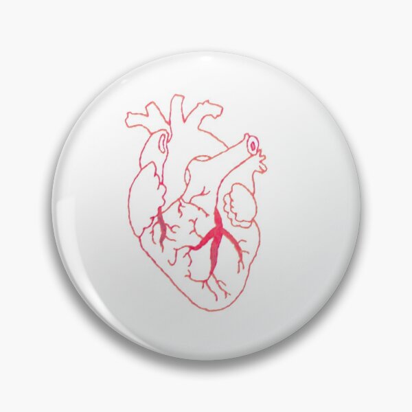 Item preview, Heart-anatomy designed and sold by Sarahgranchelli.