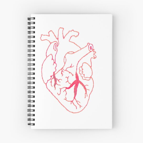 Item preview, Heart-anatomy designed and sold by Sarahgranchelli.