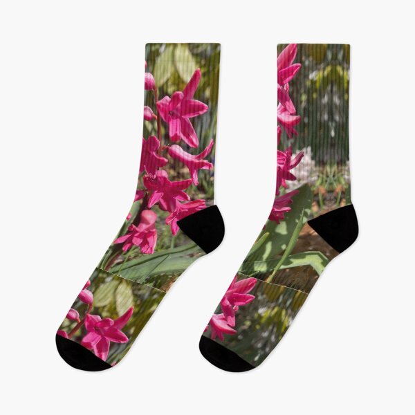 Item preview, Pink Hyacinth designed and sold by Amanda1775.