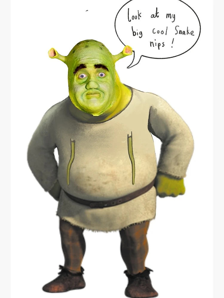 Image 6954: ogre shrek streamer:vinny