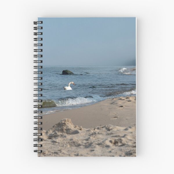 Item preview, Beach at Stenshuvud National Park designed and sold by EngineerGoC.