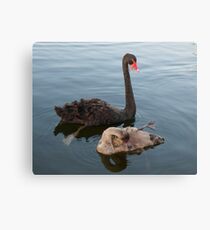 Oh! I'm Talking To You Canvas Print