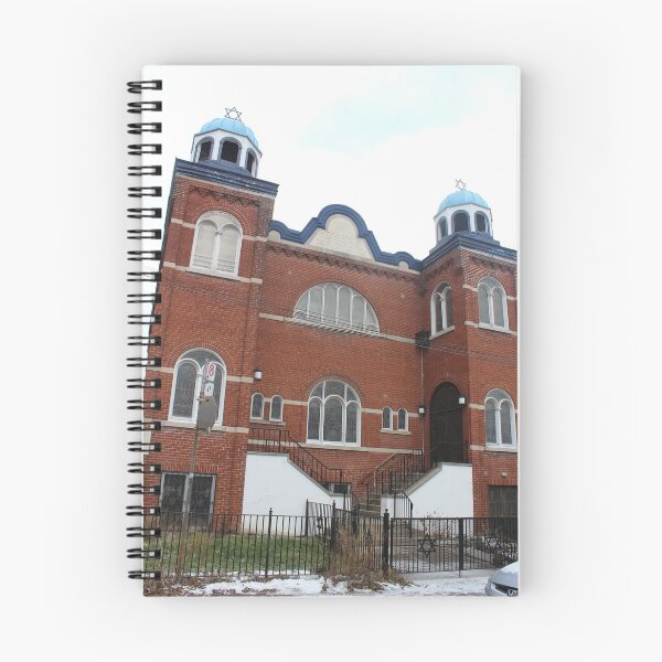 Item preview, The Kiever Synagogue designed and sold by jewknish.