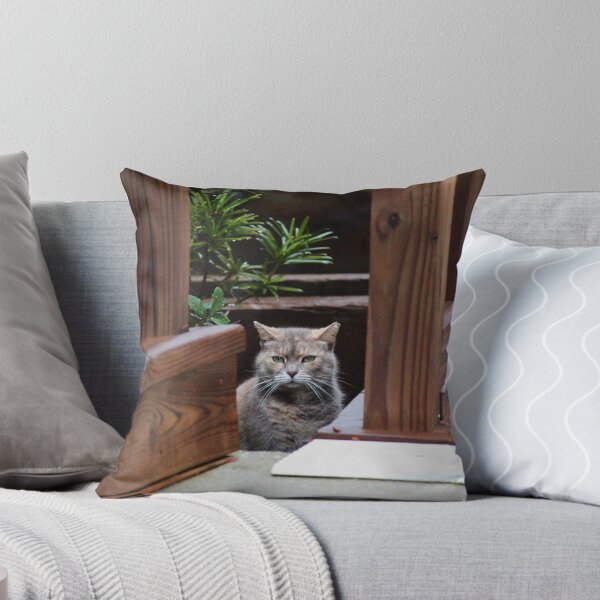 Item preview, Battleship Cat designed and sold by Cynthia48.