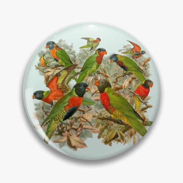 Item preview, Sweet Rainbow Lorikeets, Australian Birds, beautiful colorful birds, collage of bright and colorful vintage bird lorikeet drawings designed and sold by Orianah.