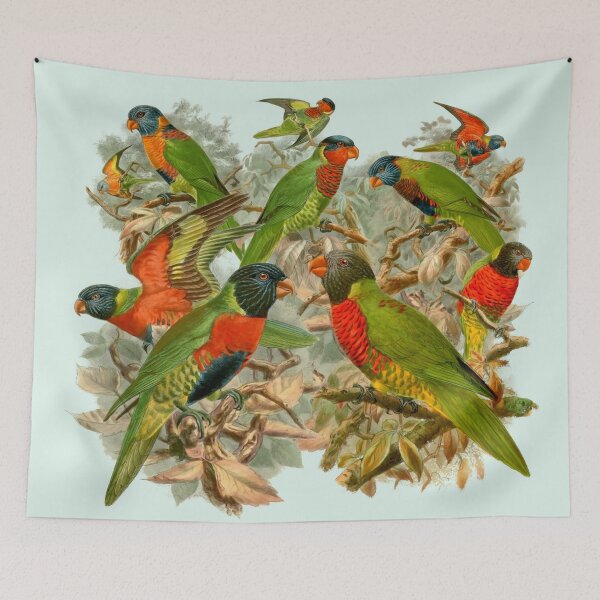 Item preview, Sweet Rainbow Lorikeets, Australian Birds, beautiful colorful birds, collage of bright and colorful vintage bird lorikeet drawings designed and sold by Orianah.