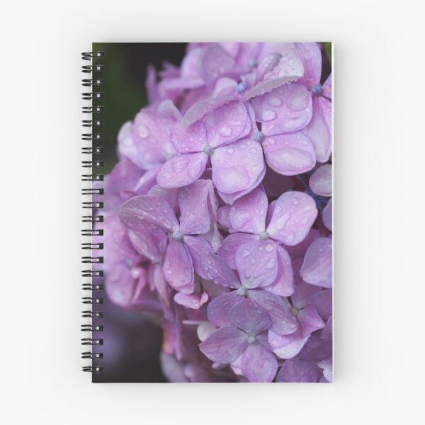 Aperçu de l'œuvre hortensias goutte d'eau créée et vendue par kmwinchell.