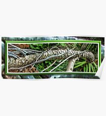 Palm Survival Poster