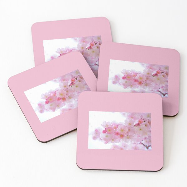 Cherry Blossom Coasters Redbubble