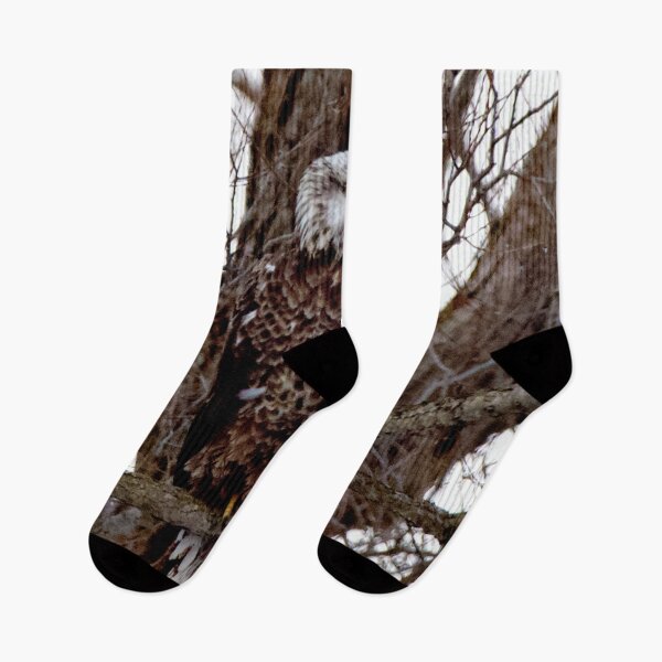 Item preview, Immature Bald Eagle in a tree designed and sold by AGSmedia66.