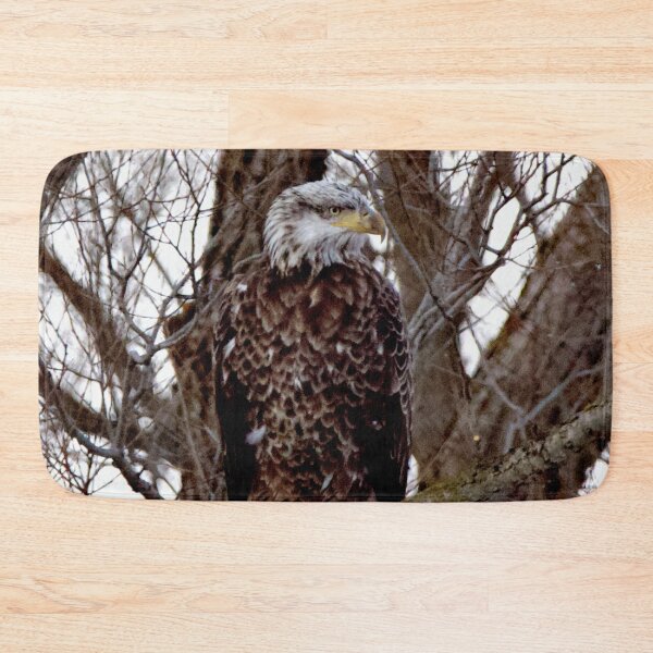 Item preview, Immature Bald Eagle in a tree designed and sold by AGSmedia66.