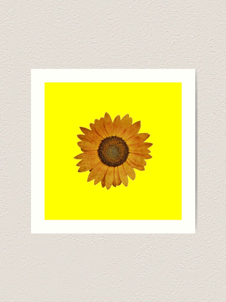 "Sunflower aesthetic " Art Print by gloriamartejero Redbubble